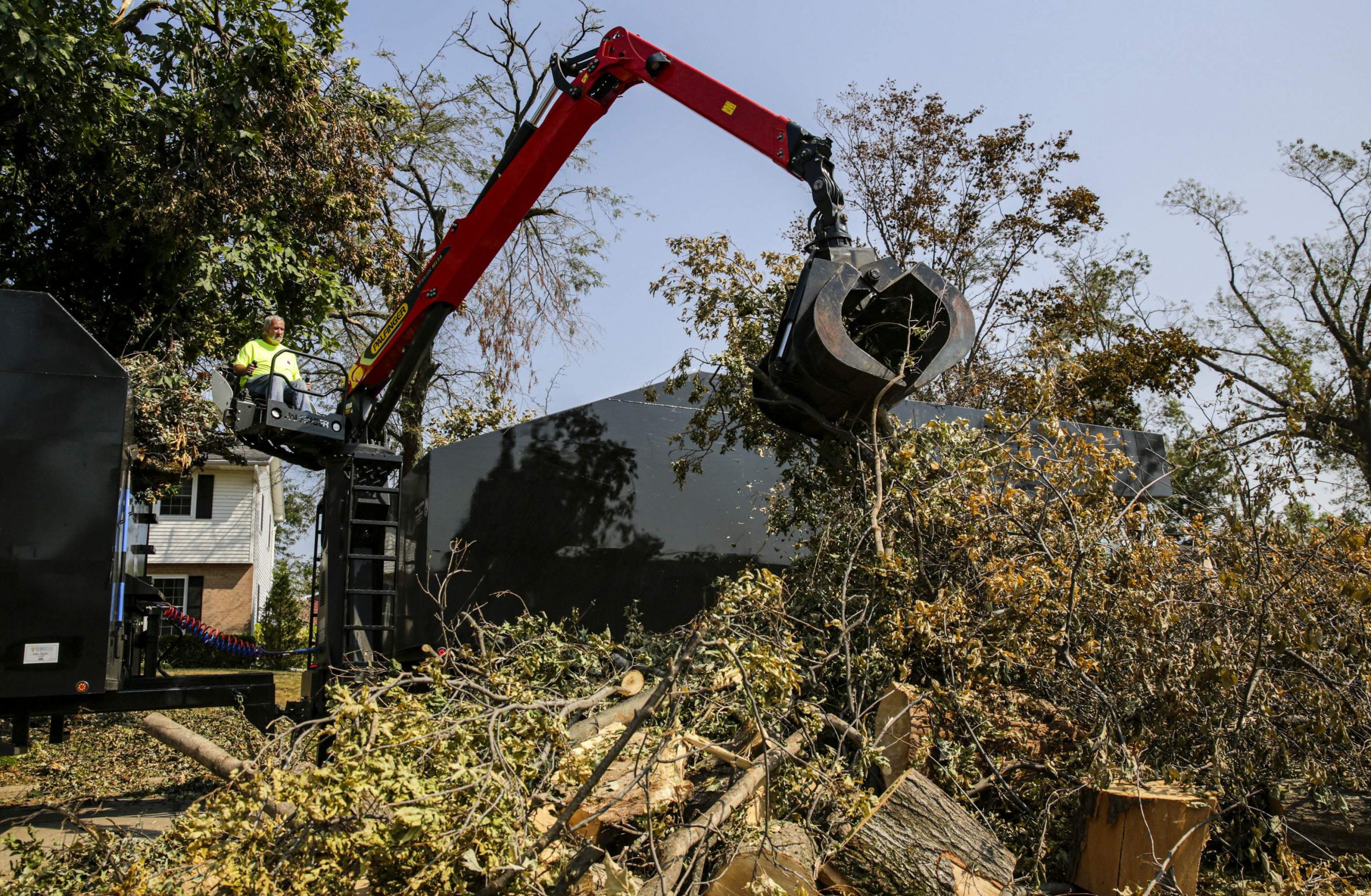 TREE REMOVAL