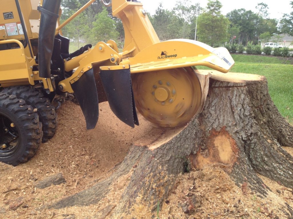 STUMP GRINDING