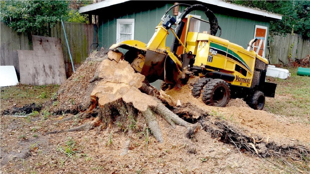 STUMP GRINDING